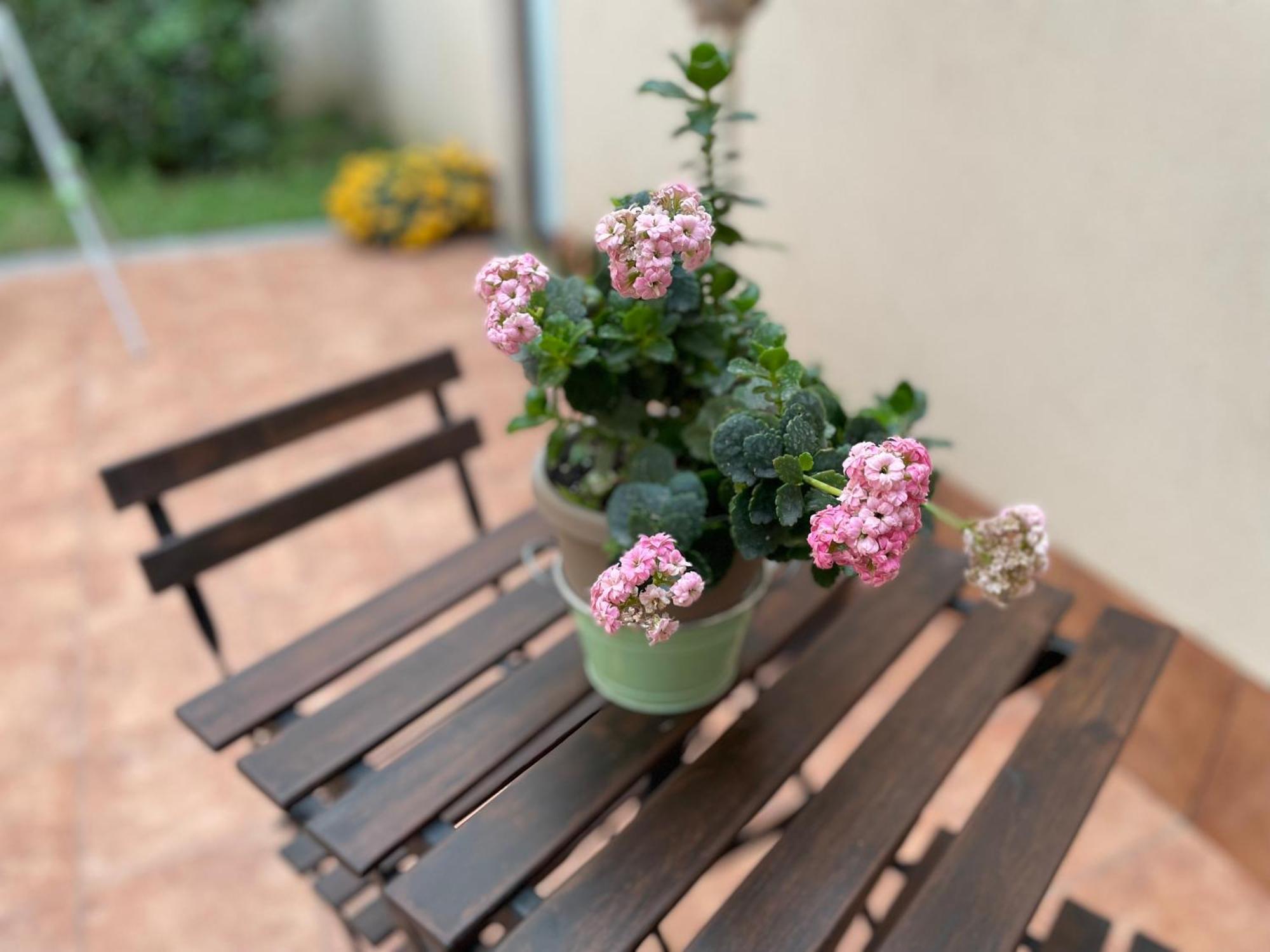 Il Borghetto Di Gigi Apartment