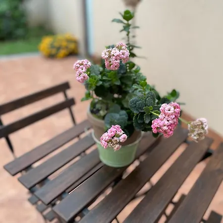 Ferienwohnung Il Borghetto Di Gigi CTA Exterior foto